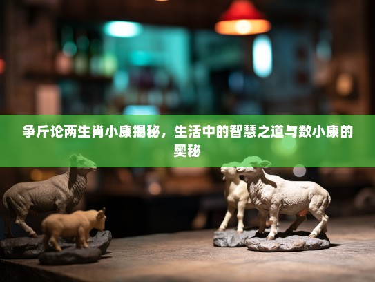 争斤论两生肖小康揭秘，生活中的智慧之道与数小康的奥秘