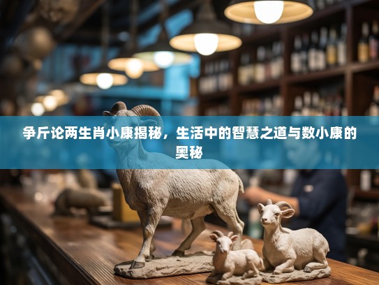争斤论两生肖小康揭秘，生活中的智慧之道与数小康的奥秘