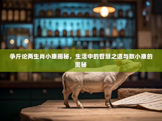 争斤论两生肖小康揭秘，生活中的智慧之道与数小康的奥秘