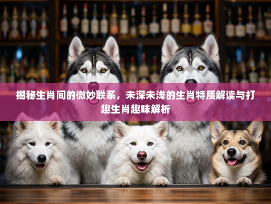 揭秘生肖间的微妙联系，未深未浅的生肖特质解读与打趣生肖趣味解析