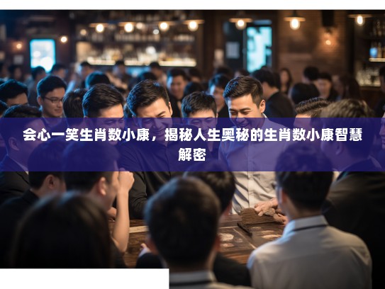 会心一笑生肖数小康，揭秘人生奥秘的生肖数小康智慧解密