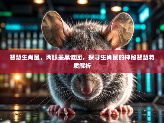 智慧生肖鼠，两眼墨黑谜团，探寻生肖鼠的神秘智慧特质解析