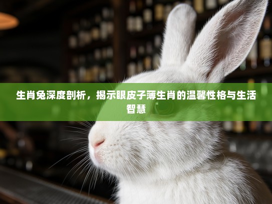 生肖兔深度剖析，揭示眼皮子薄生肖的温馨性格与生活智慧