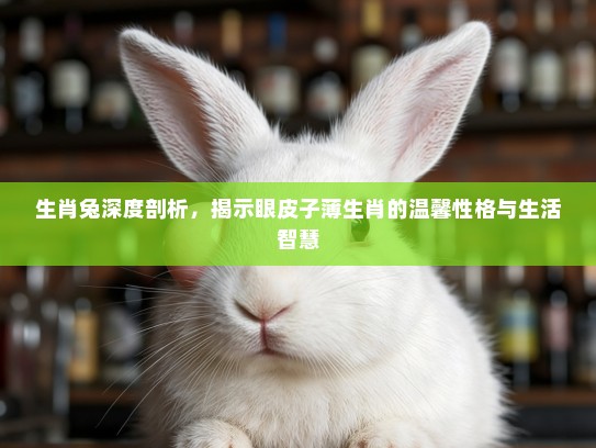 生肖兔深度剖析，揭示眼皮子薄生肖的温馨性格与生活智慧