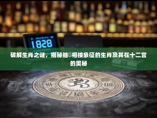 破解生肖之谜，揭秘舳舮相接象征的生肖及其在十二宫的奥秘