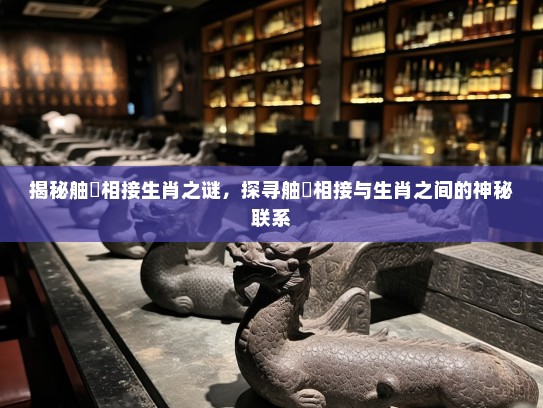 揭秘舳舮相接生肖之谜，探寻舳舮相接与生肖之间的神秘联系