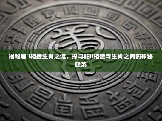揭秘舳舮相接生肖之谜，探寻舳舮相接与生肖之间的神秘联系