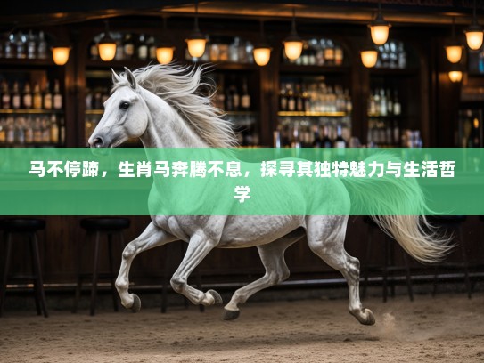 马不停蹄，生肖马奔腾不息，探寻其独特魅力与生活哲学