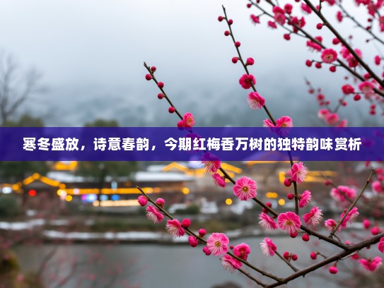 寒冬盛放，诗意春韵，今期红梅香万树的独特韵味赏析