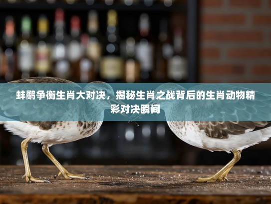 蚌鹬争衡生肖大对决，揭秘生肖之战背后的生肖动物精彩对决瞬间