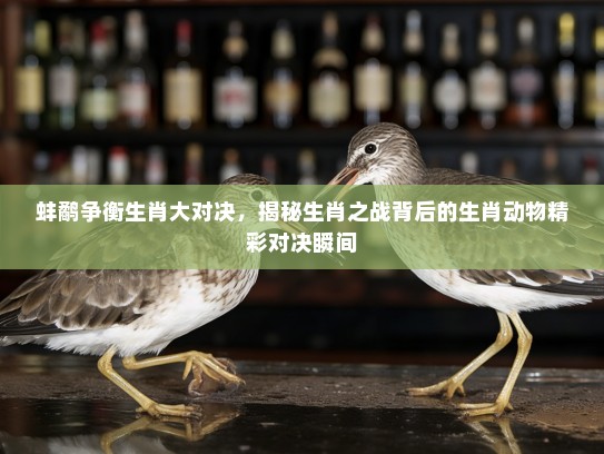 蚌鹬争衡生肖大对决，揭秘生肖之战背后的生肖动物精彩对决瞬间