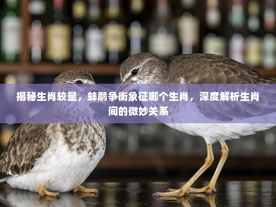 揭秘生肖较量，蚌鹬争衡象征哪个生肖，深度解析生肖间的微妙关系