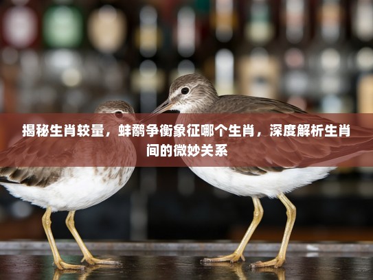 揭秘生肖较量，蚌鹬争衡象征哪个生肖，深度解析生肖间的微妙关系