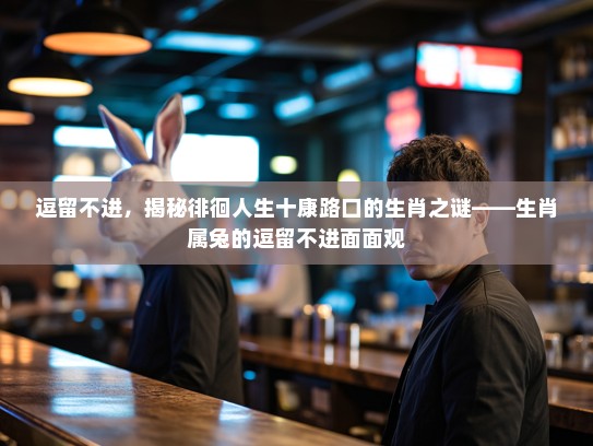 逗留不进，揭秘徘徊人生十康路口的生肖之谜——生肖属兔的逗留不进面面观