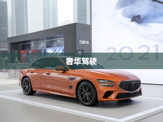 2025款捷尼赛思G70，奢华驾驶体验，尽享锐意前行与优雅驾驭艺术之美