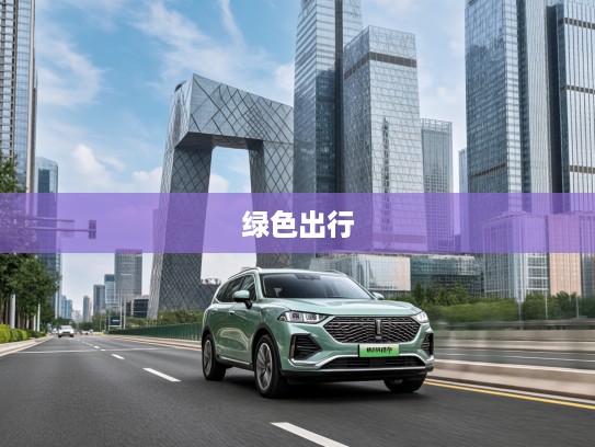 魏牌蓝山2025款智能SUV，开启绿色出行新风尚，定义未来智能驾驶潮流