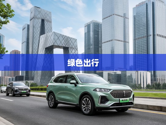 魏牌蓝山2025款智能SUV，开启绿色出行新风尚，定义未来智能驾驶潮流