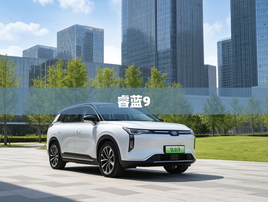 2025款睿蓝9新旗舰，睿蓝汽车绿色出行新风尚引领者评测