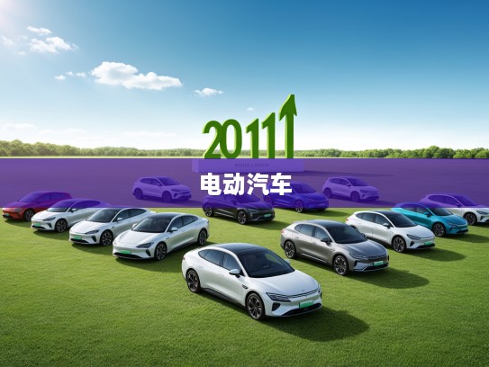 2025电动汽车行业崛起盘点，揭秘前十明星车型，引领绿色出行新潮流