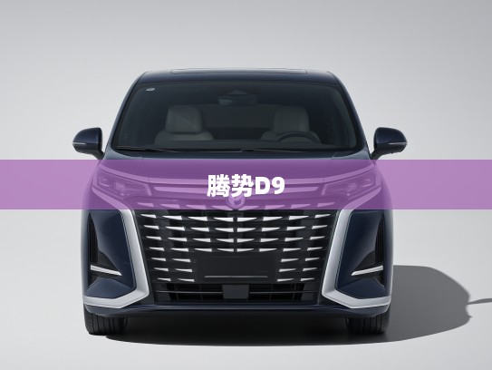 腾势D9 2025款豪华旗舰，开创未来豪华出行新篇章，驾驭梦想之旅