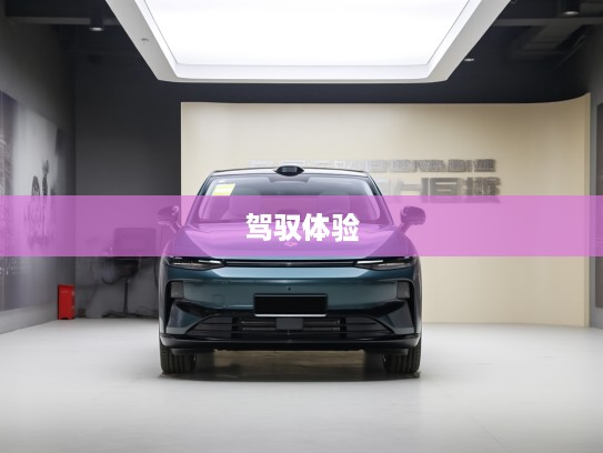零跑B01新车评测，时尚智造引领生活新节奏，深度解析未来驾驭体验