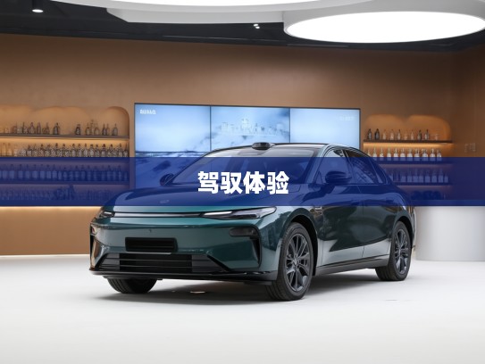 零跑B01新车评测，时尚智造引领生活新节奏，深度解析未来驾驭体验