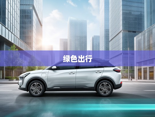哪吒新能源汽车，创新科技驱动，引领绿色出行新潮流，打造环保出行新标杆