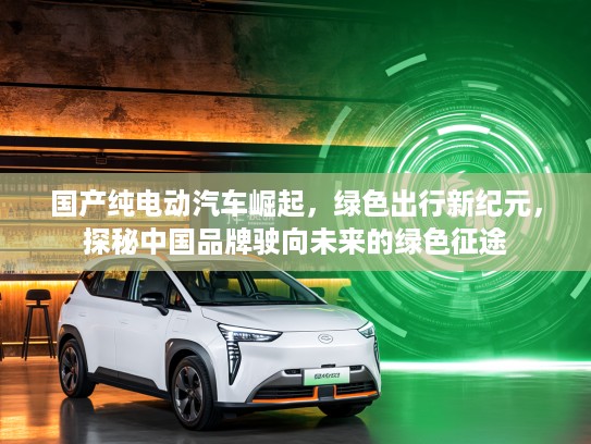 国产纯电动汽车崛起，绿色出行新纪元，探秘中国品牌驶向未来的绿色征途