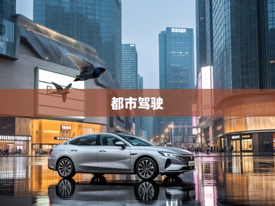 雨后初晴，长安雨燕汽车翱翔都市繁华，探寻都市驾驶新体验