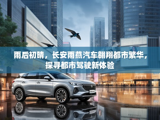 雨后初晴，长安雨燕汽车翱翔都市繁华，探寻都市驾驶新体验