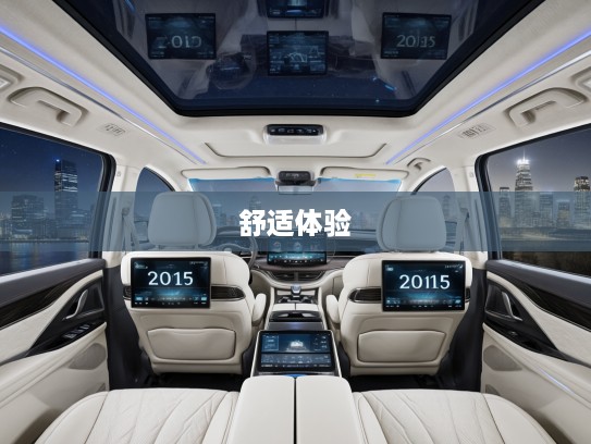 比亚迪M9 2025款基本型评测，科技豪华标配，舒适体验全面升级