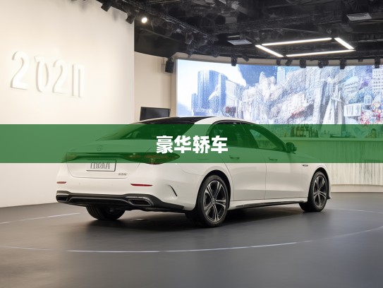 2025款奔驰E级改款鉴赏，豪华轿车市场新篇章，焕新启航深度评测