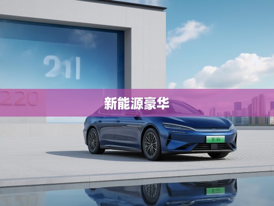 比亚迪汉L 2025款匠心独运解析，引领新能源豪华新纪元体验攻略