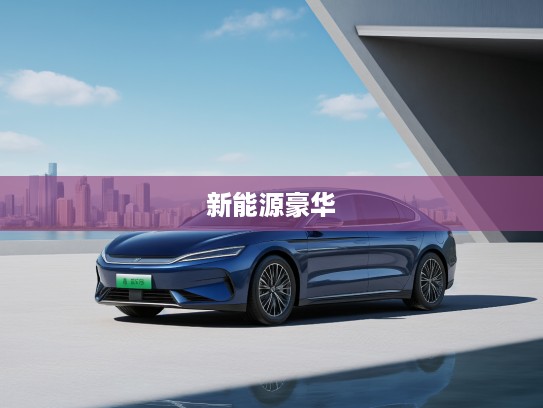 比亚迪汉L 2025款匠心独运解析，引领新能源豪华新纪元体验攻略