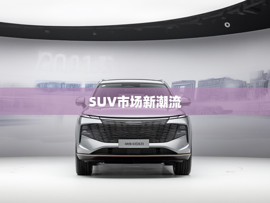 2025款哈弗神兽深度评测，传承经典与创新设计，引领SUV市场新潮流解析