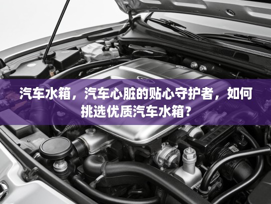 汽车水箱，汽车心脏的贴心守护者，如何挑选优质汽车水箱？