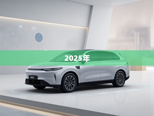 2025年零跑C11纯电落地价预测，深度解析2025年车型价格走势及影响因素