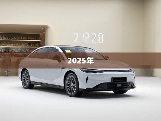 2025年零跑C11纯电落地价预测，深度解析2025年车型价格走势及影响因素