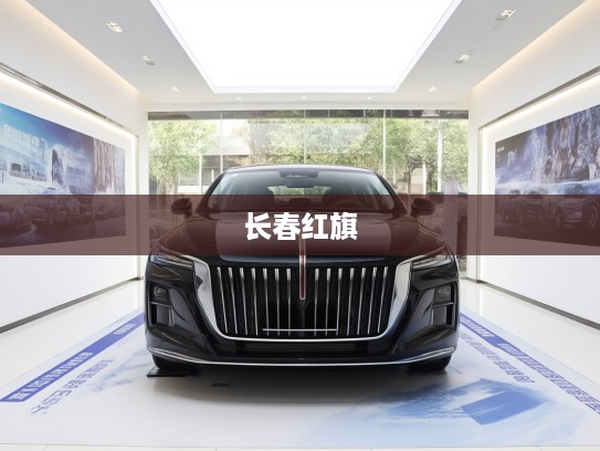 长春红旗汽车养护攻略，揭秘长春红旗4S店详细地址与联系电话！