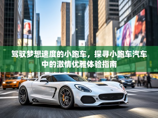 驾驭梦想速度的小跑车，探寻小跑车汽车中的激情优雅体验指南