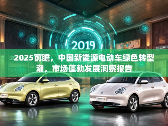 2025前瞻，中国新能源电动车绿色转型潮，市场蓬勃发展洞察报告
