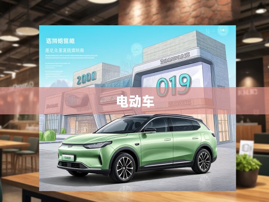2025前瞻，中国新能源电动车绿色转型潮，市场蓬勃发展洞察报告
