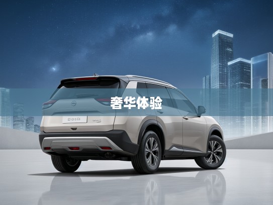 2025款日产奇骏VC-Turbo 300 CVT 2WD星月限定版评测，星空下的速度激情与奢华体验