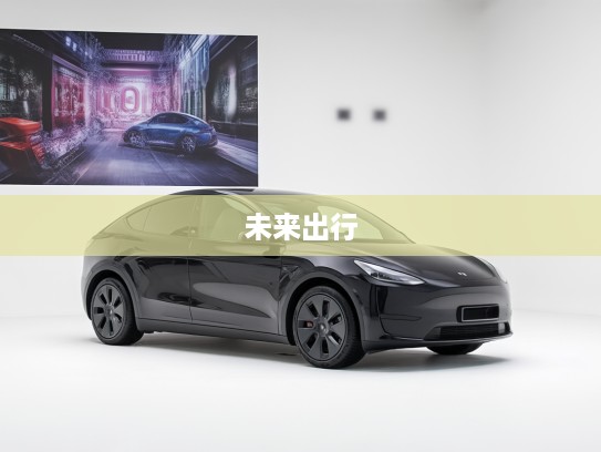 特斯拉Model Y 2025款评测，科技奢华新典范，引领未来出行潮流解析