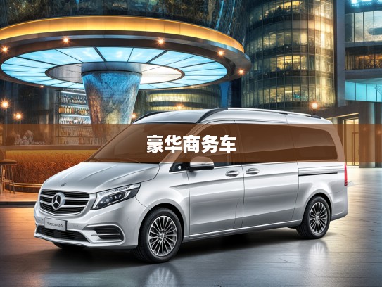 2020 WALD V-Class豪华商务车评测，未来驾驭典范，探索高端商务座驾新境界
