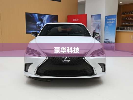 雷克萨斯ES 2025款深度评测，豪华座驾科技之旅，体验未来豪华新境界