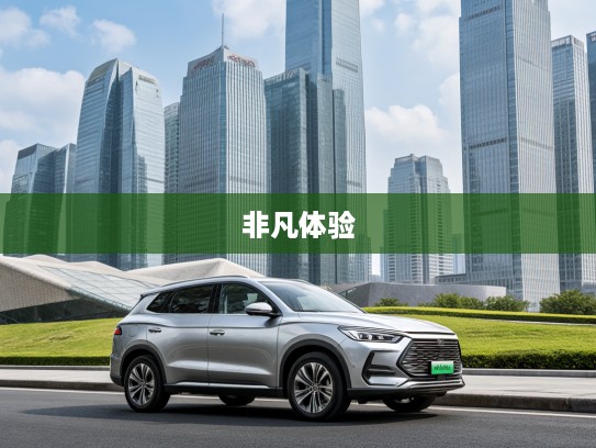 2025新款自动尊贵型SUV评测，引领高端出行新风尚，尊享非凡驾驭体验