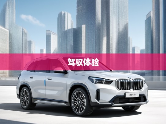 探索2025款宝马X1，未来驾驭体验，尊贵解析全面揭秘