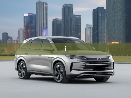 2025款比亚迪海狮06新能源DM-i 121领航版评测，引领绿色出行新时代征程详解