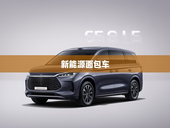比亚迪新能源面包车价格一览，全面解析经济环保的理想之选